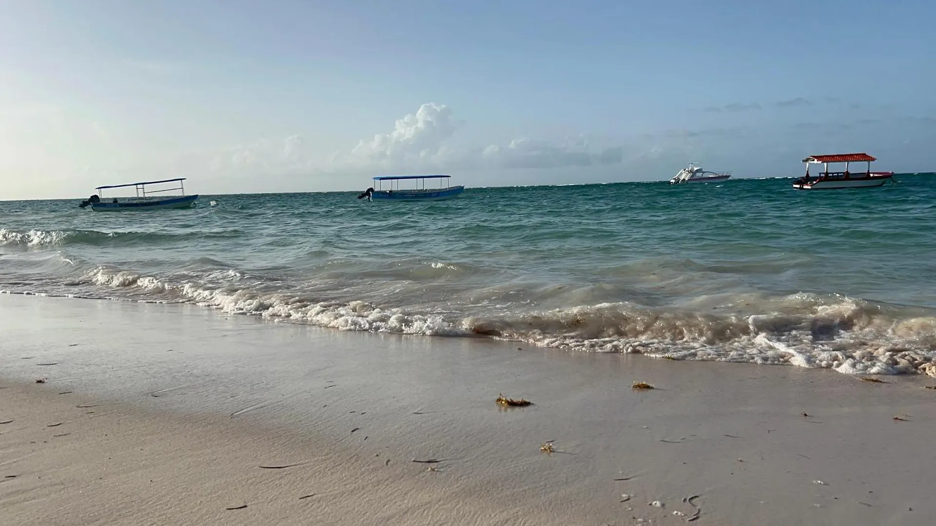 Caminando A Playa Bavaro 푼타 카나