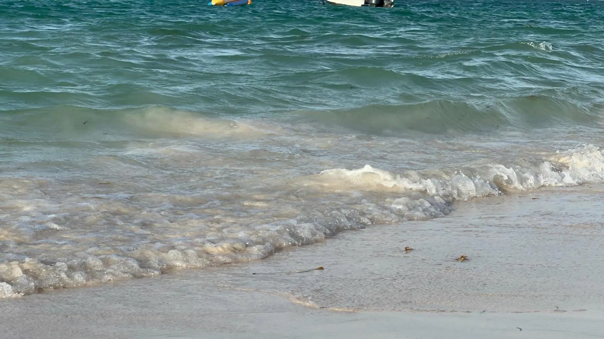 アパート Caminando A Playa Bavaro プンタ・カナ ドミニカ共和国